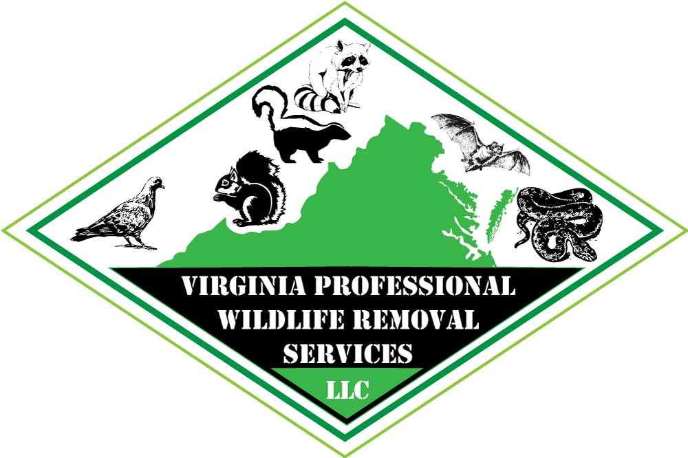 Virginia-Professional-Wildlife-Removal-Services badge