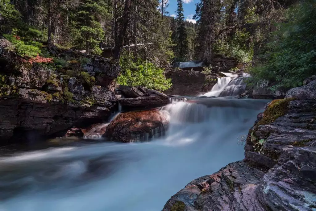 Virginia river landscape representing wildlife removal frequently asked questions